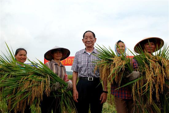 2010年7月29日，袁隆平院士（中）在广西崇左市宁明县洞廊村与收割超级稻的农民合影。